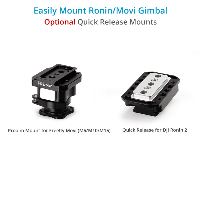 Dji ronin m 2 sale